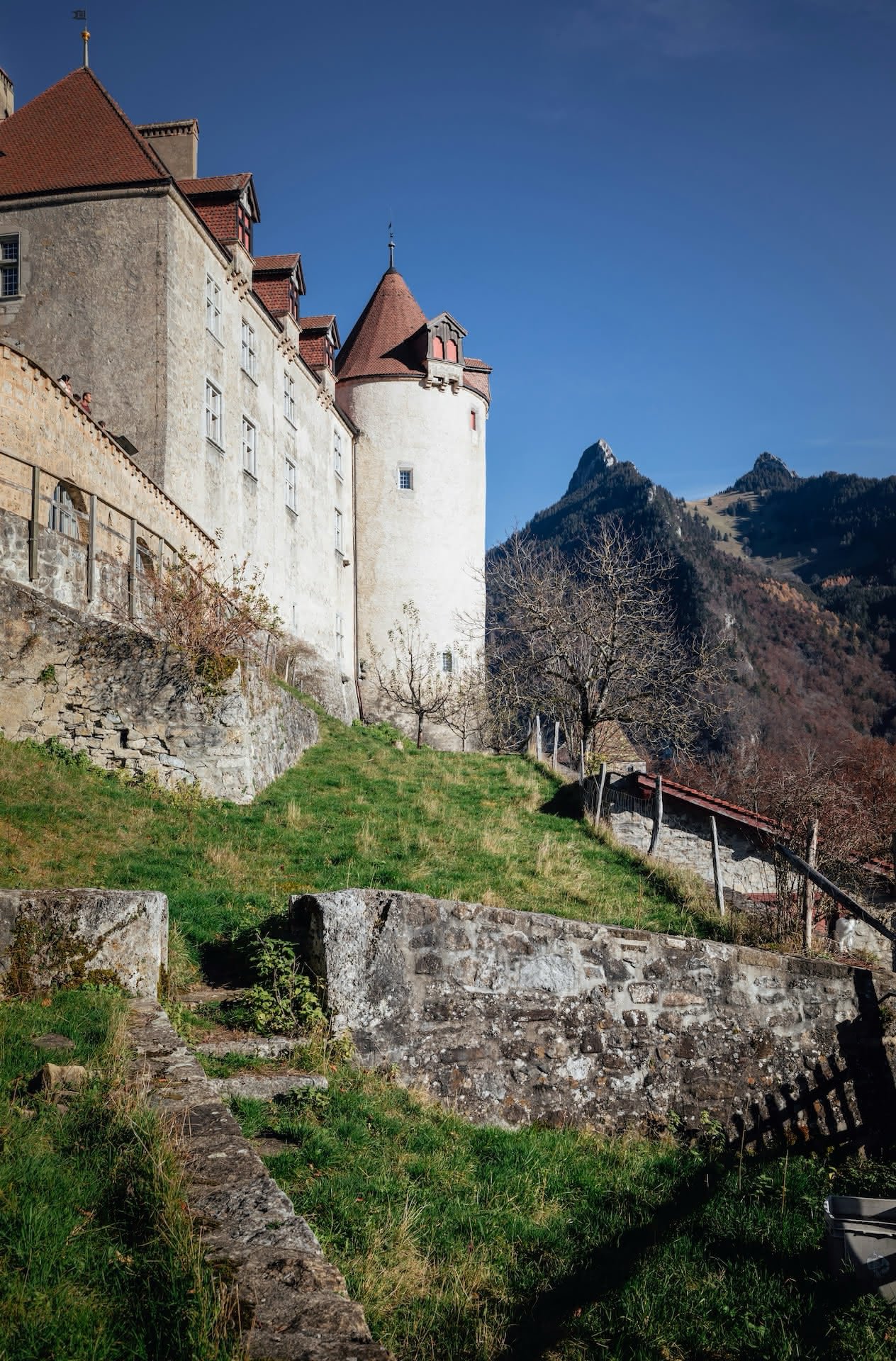 gruyeres