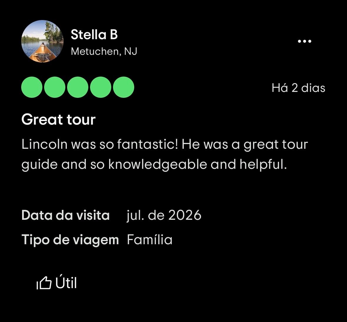 Meet Lincoln & Testimonials 9 Testimonials 06